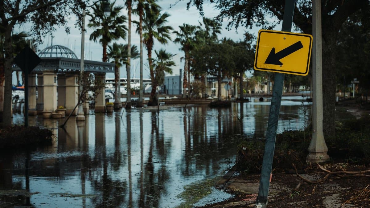 Street view of a flooded road lined with palm trees and a leaning traffic sign, reflecting urban flooding.