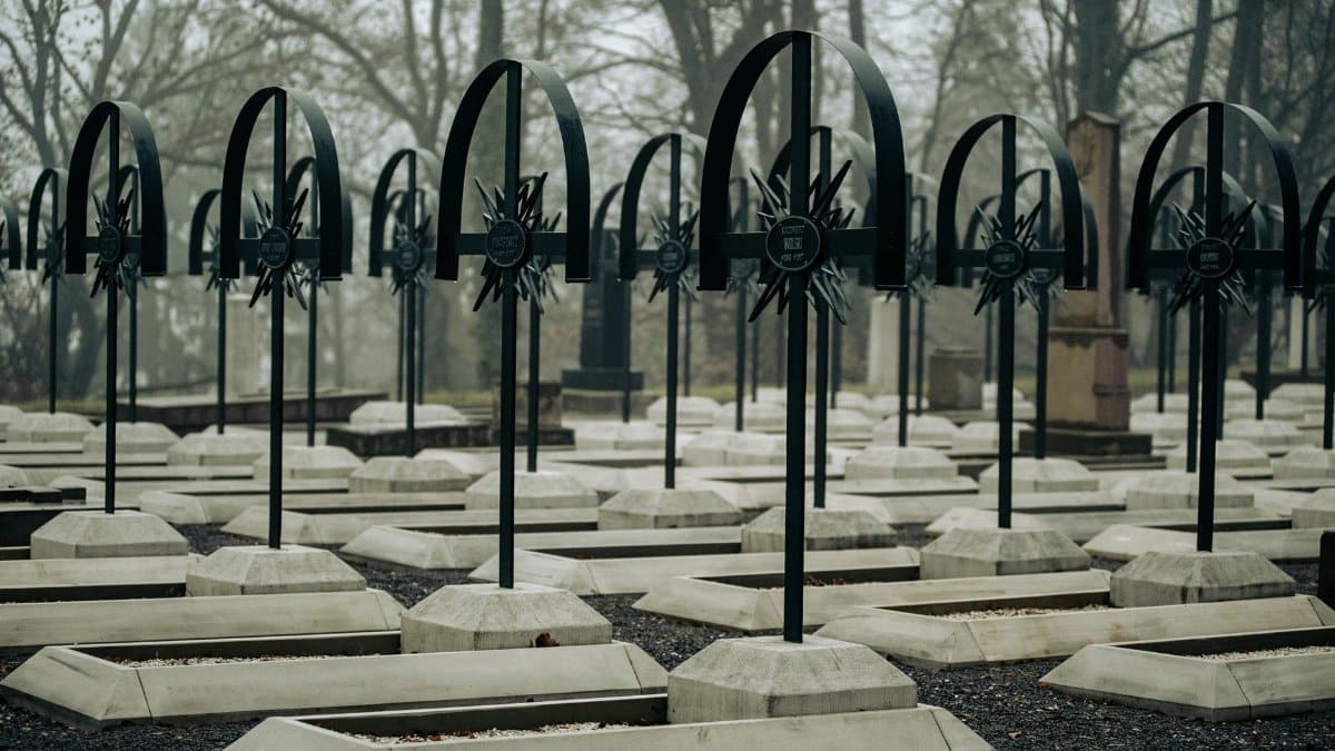 Quiet and misty cemetery view in Lviv, showcasing rows of elegant grave markers amid trees.