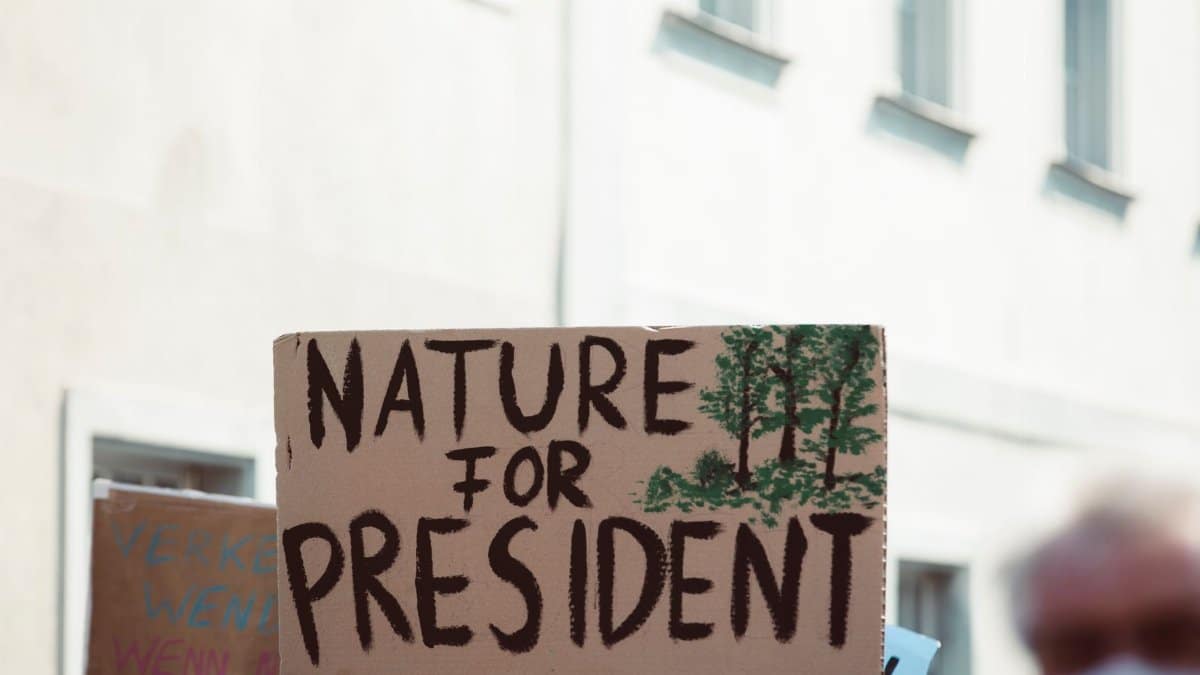 Sign at a climate protest advocating for environmental priorities with text 'Nature for President.'