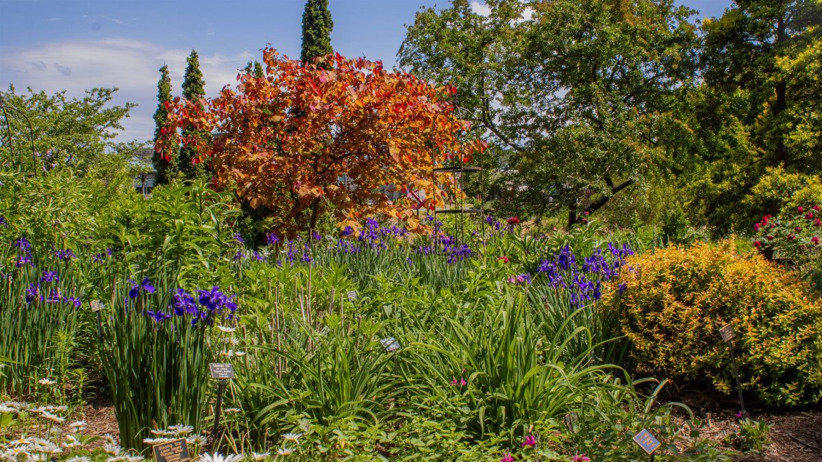 Vibrant botanic garden in Norfolk, Virginia, showcasing autumn colors and blooming flowers.