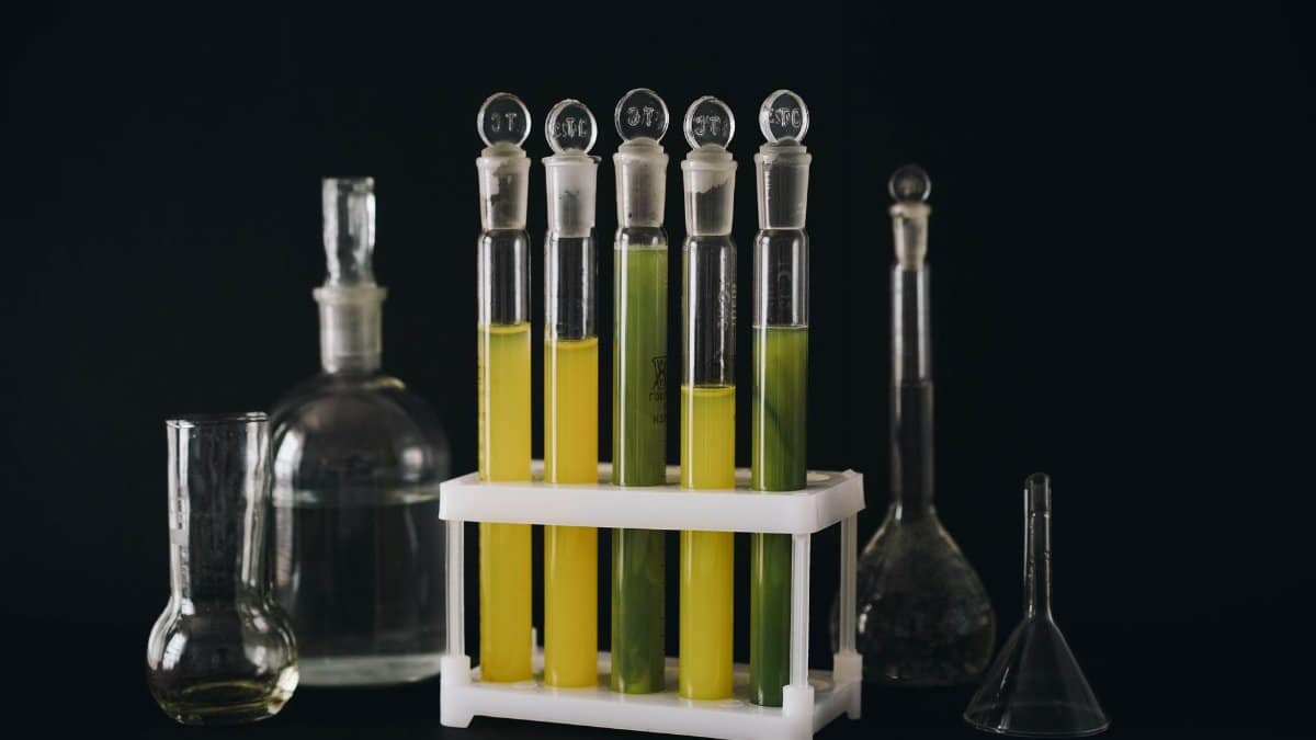 A collection of vibrant liquids in test tubes against a black background, showcasing chemistry equipment.