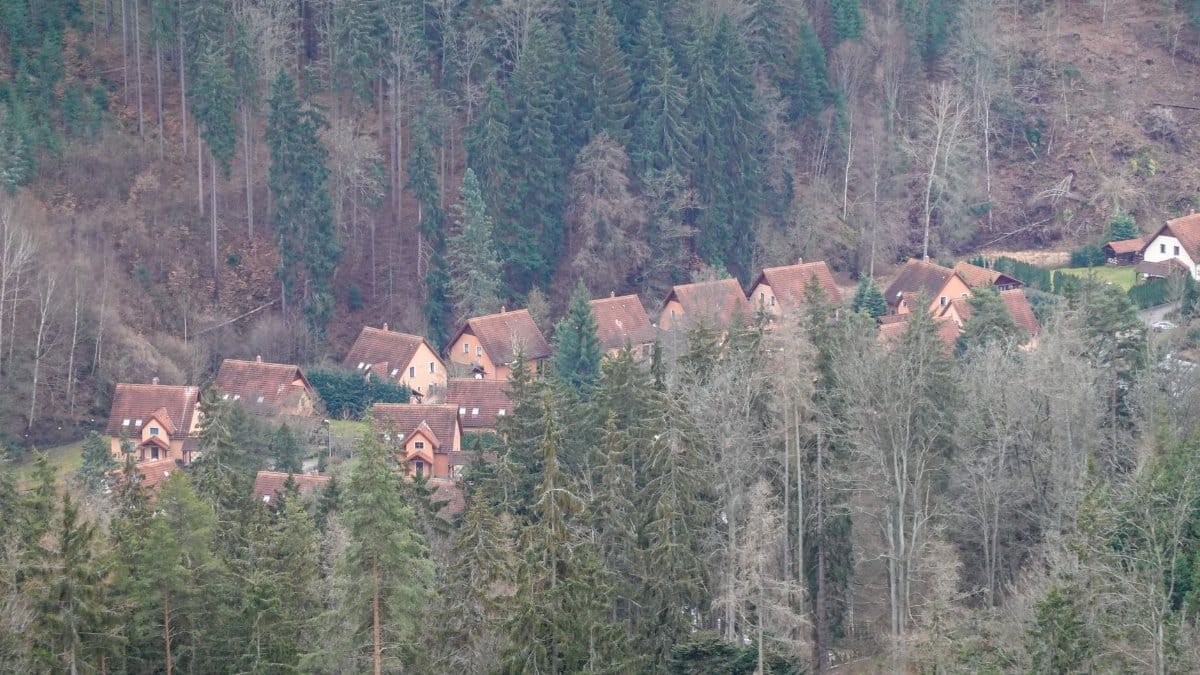 Aerial view of a quaint village nestled in the lush forests of Karlovy Vary Region, Czechia.