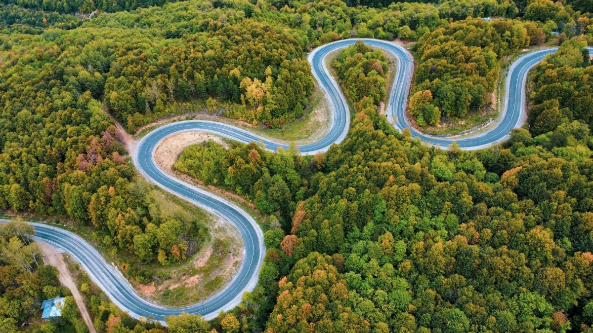 Stunning aerial shot of a winding road through a vibrant, green forest capturing scenic natural beauty.
