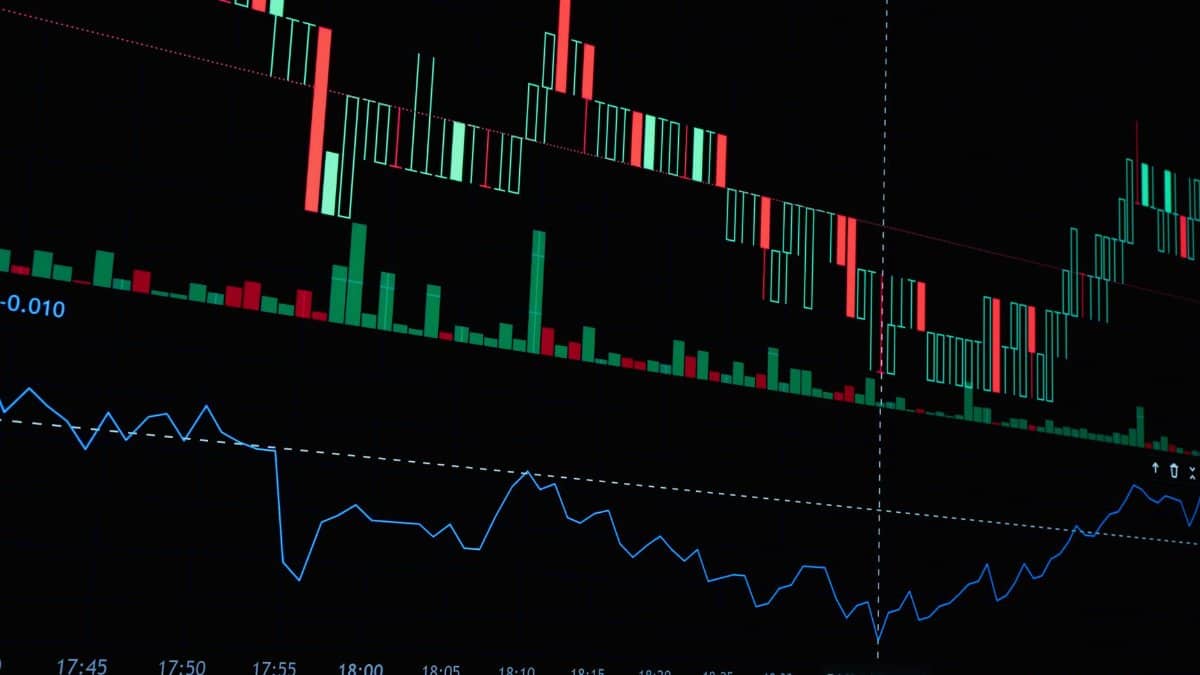 Detailed financial market chart showcasing price trends and volume indicators for stock analysis.