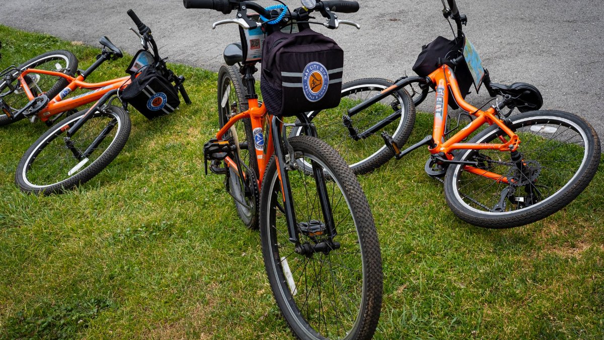 Group of orange bicycles resting on green grass by a paved trail in an outdoor park setting.