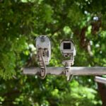 Outdoor security cameras mounted on a pole against lush green foliage.