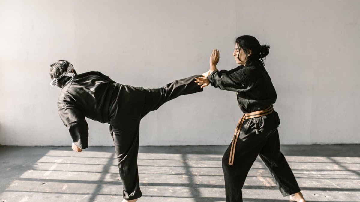 Two martial artists practicing karate kicks and self-defense in a sunlit room.