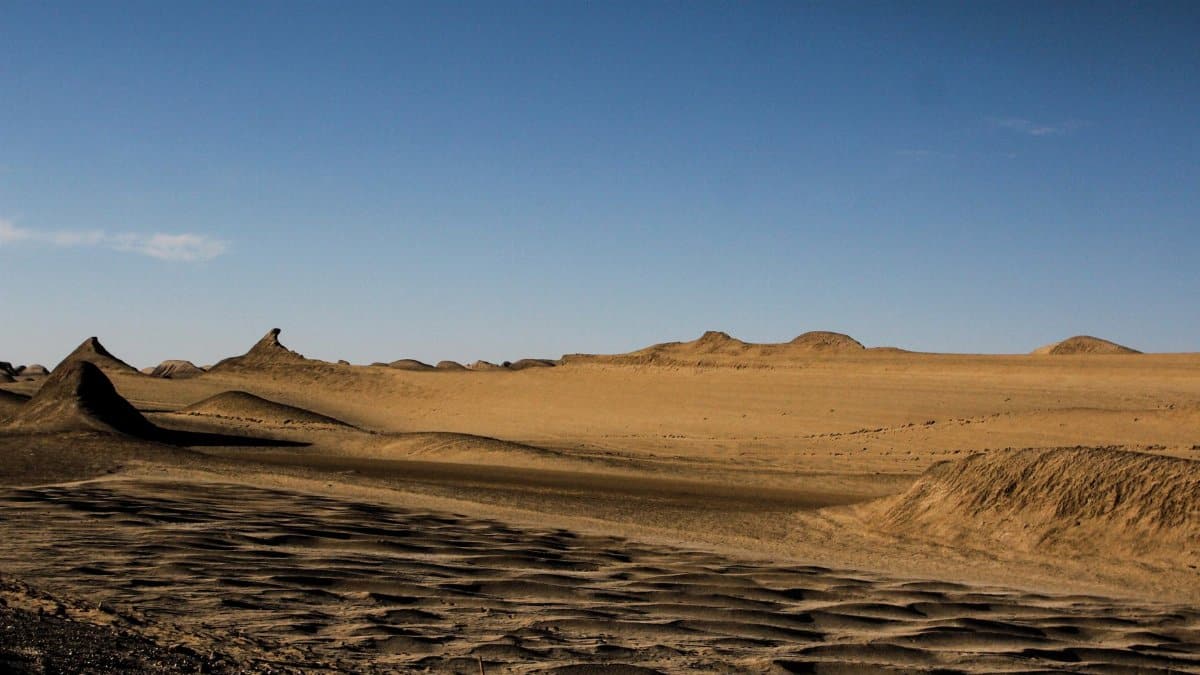 Expansive desert scene featuring sandy dunes and a bright blue sky, perfect for nature enthusiasts.