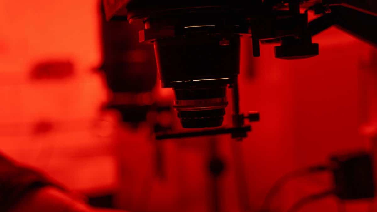 Enlarger equipment in a red-lit darkroom, used for developing photographs.