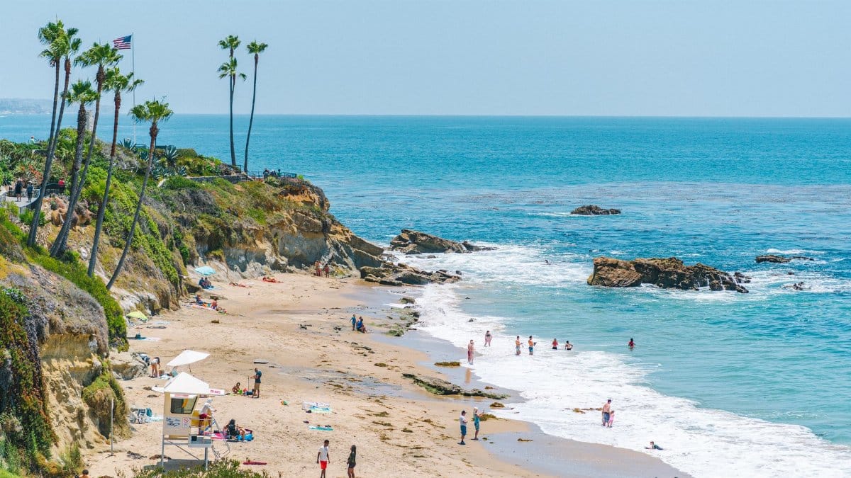 A scenic view of Laguna Beach, California with palm trees and people enjoying a sunny day at the beach.
