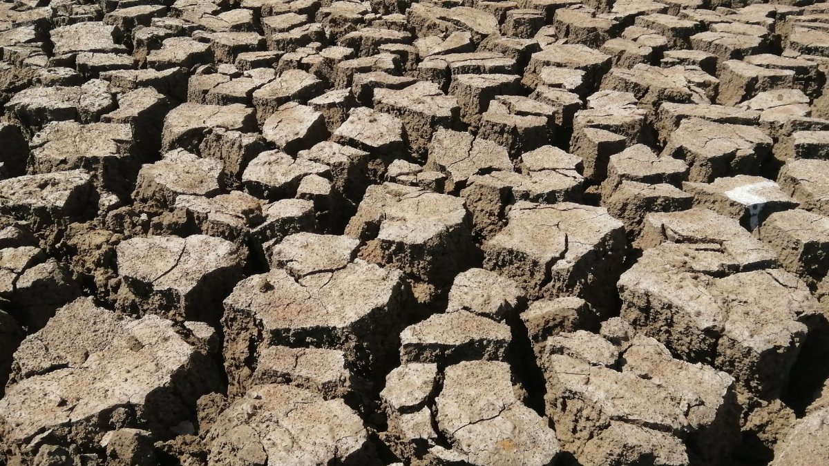 A stark image of cracked earth highlighting the impact of drought.