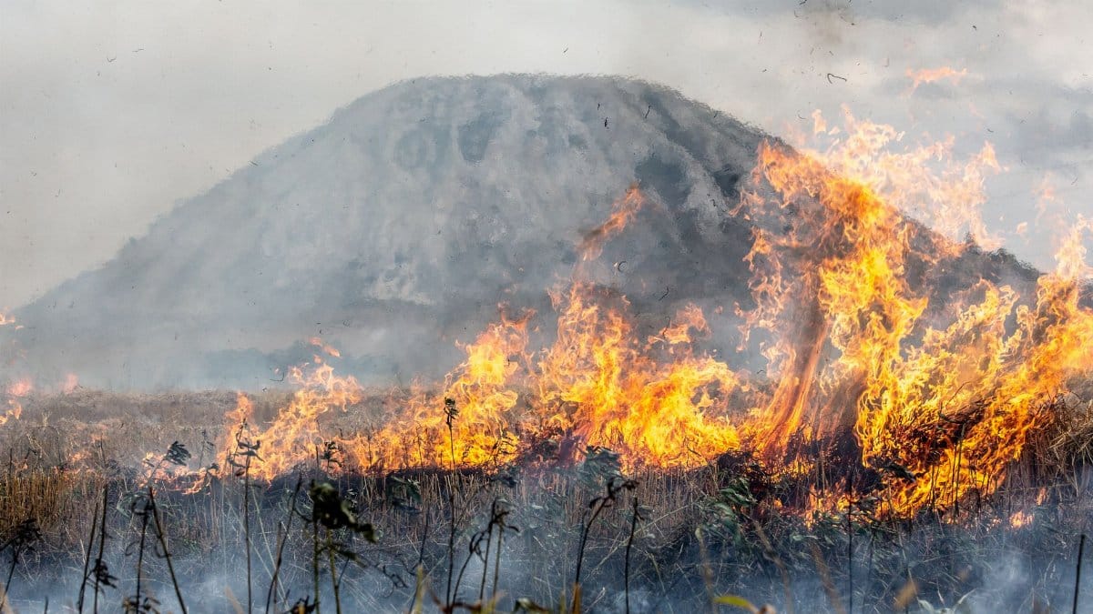 Dramatic wildfire engulfing a mountainside near Sterlitamak, Russia with blazing flames.