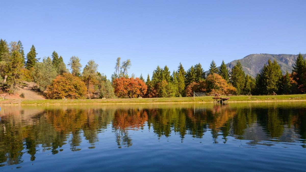 Reflection of autumn trees on a tranquil river in Burnt Ranch, CA.