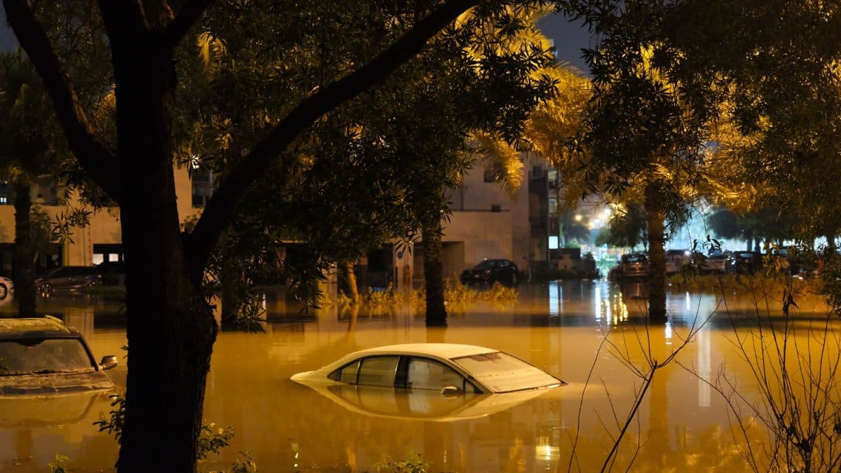 A dramatic scene of submerged cars in a flooded street surrounded by trees at night.