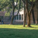 A peaceful scene with people walking on a tree-lined campus lawn.