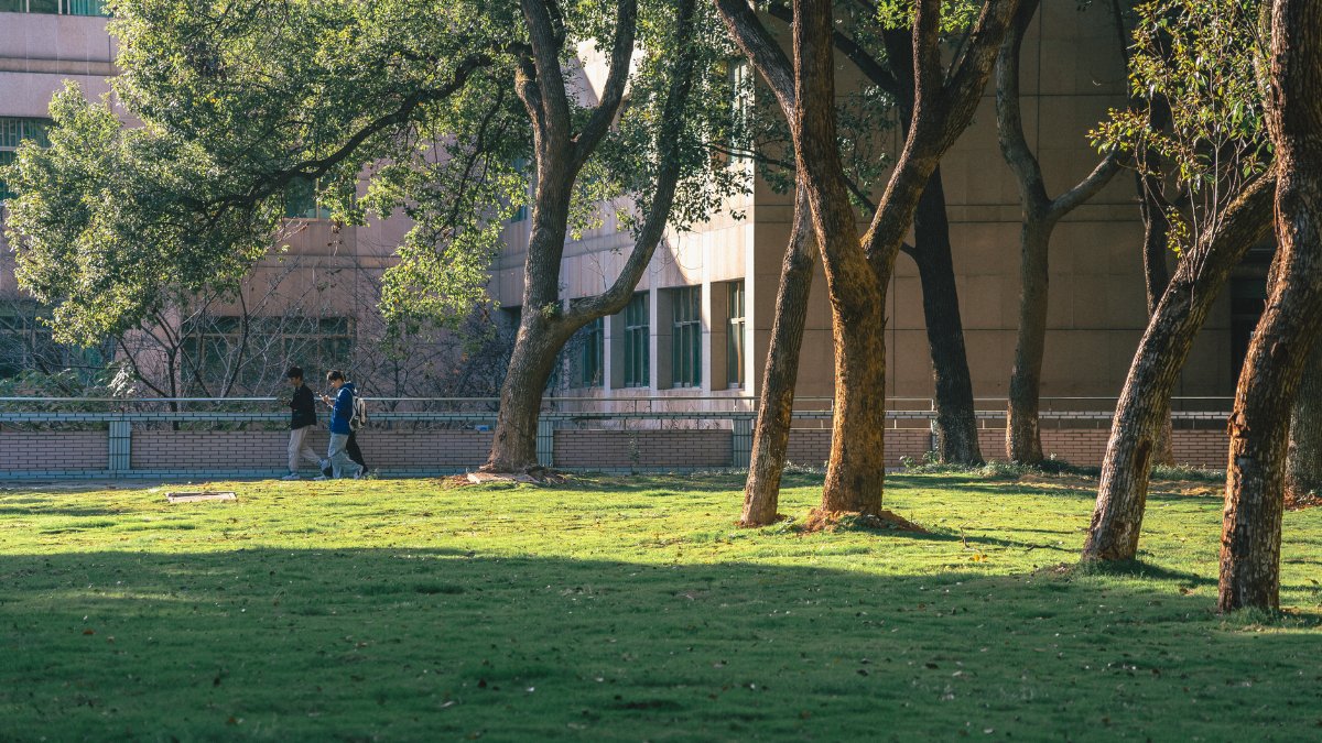 A peaceful scene with people walking on a tree-lined campus lawn.