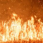 Intense flames and smoke rise from a grass fire during twilight, creating a dramatic scene.