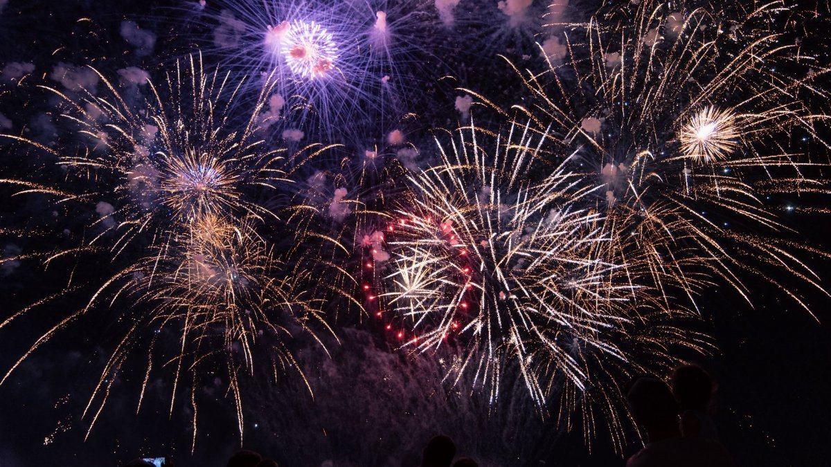 Vibrant fireworks burst in the night sky, captivating a silhouetted audience below.