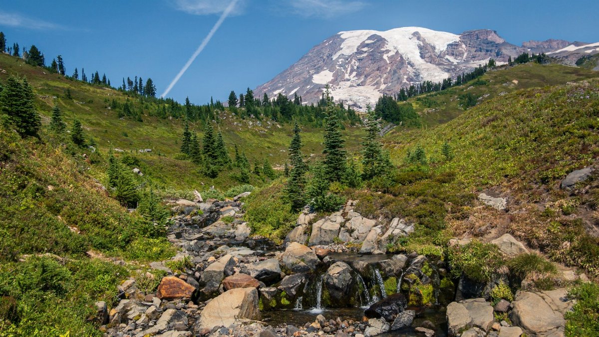 Beautiful summer landscape featuring Mount Rainier and vibrant greenery.