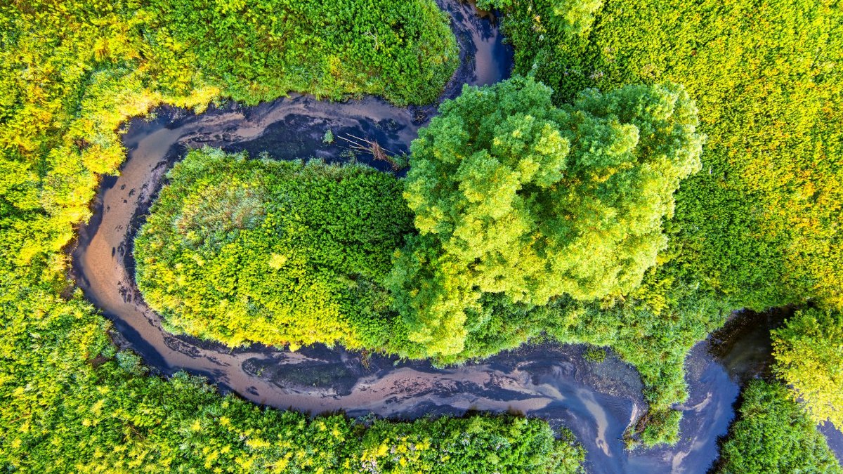 A stunning aerial view of a winding river surrounded by lush green forests in Minnesota.