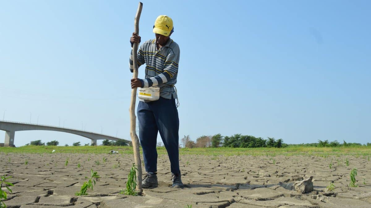 A man monitors environmental conditions on cracked dry ground near a bridge with sunny weather.