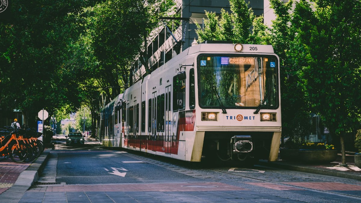 A tram navigating through a tree-lined street in an urban environment, showcasing public transportation.