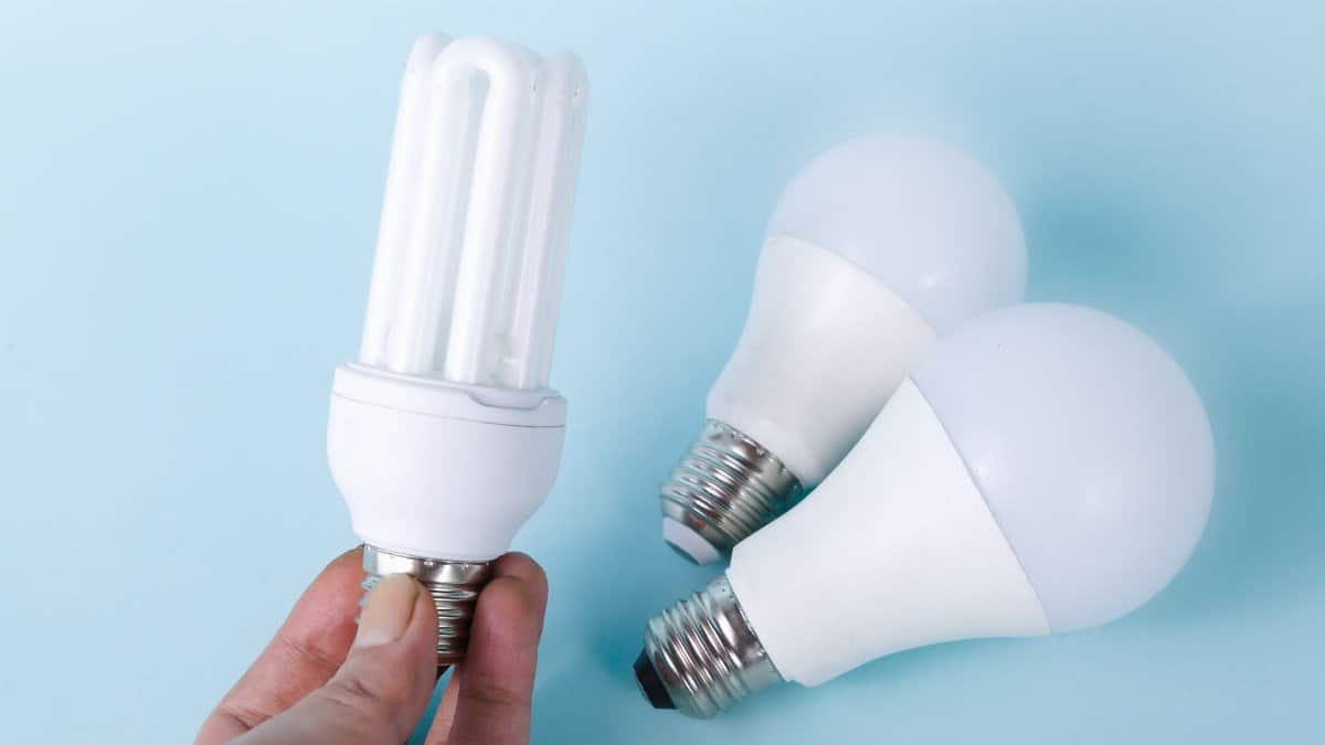 Close-up of energy-saving CFL and LED light bulbs on a blue background, showcasing eco-friendly lighting solutions.