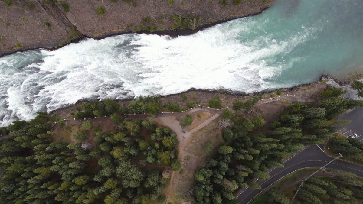 Aerial shot capturing a lush forest and winding river, ideal for nature wallpapers.