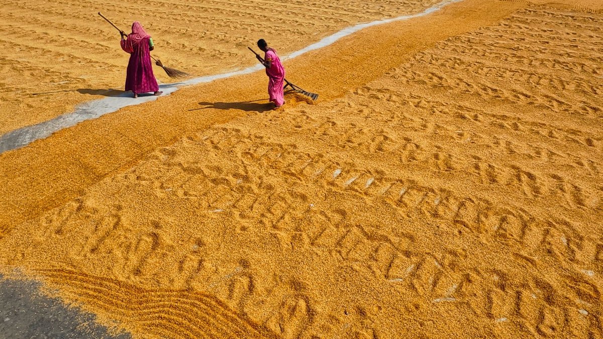 Two women working in sunlight, drying grain crops in Habra, India.
