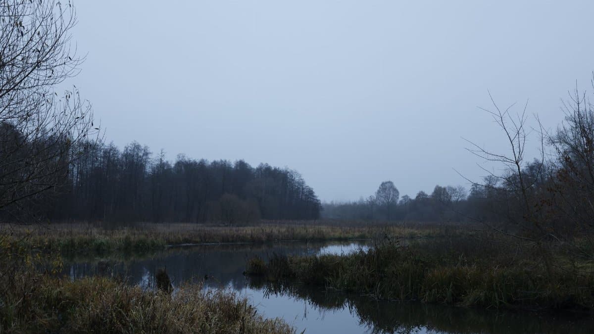 Foggy river scene in fall near Minsk, Belarus, capturing serene and misty atmosphere.