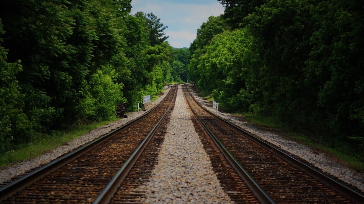 Long perspective of railroad tracks lined by dense green forest under clear sky.