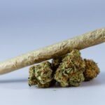 Close-up of a cannabis joint resting on marijuana buds, symbolizing relaxation.