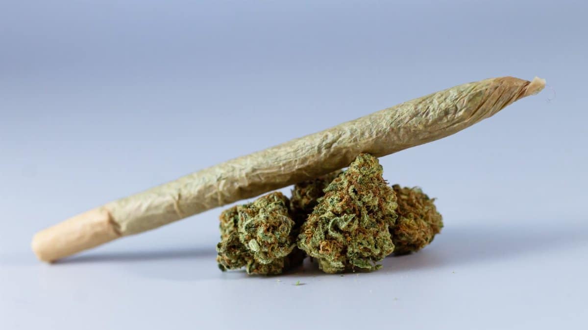 Close-up of a cannabis joint resting on marijuana buds, symbolizing relaxation.