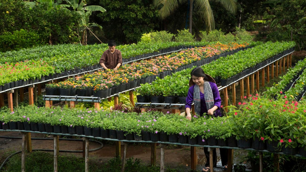 Gardeners working in a lush nursery with a variety of plants and flowers, surrounded by tropical greenery.