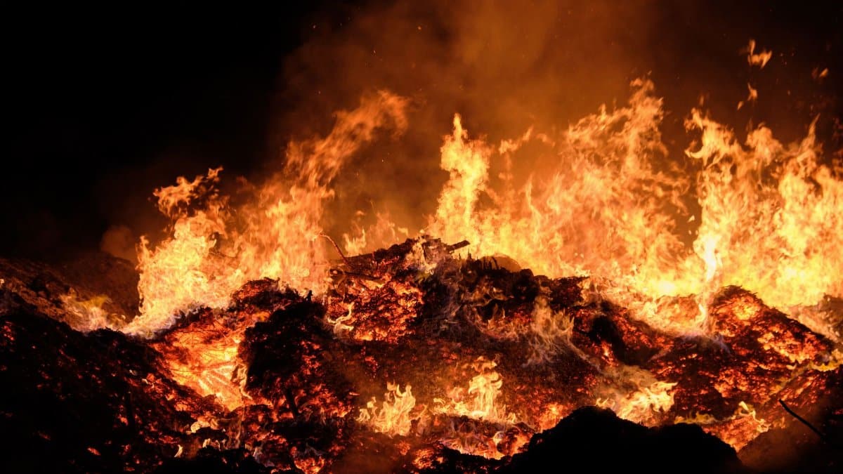 A vibrant and intense fire blazing against a dark backdrop, capturing the raw power of flames.