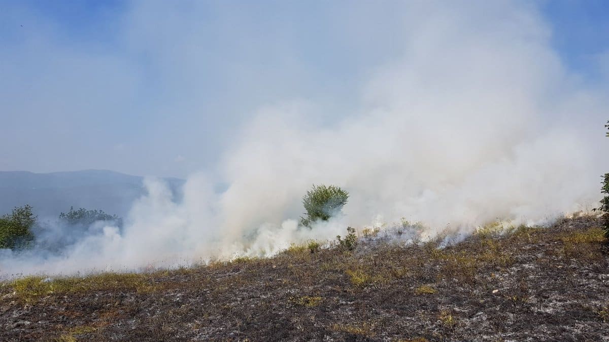A barren field with smoke clouds rising after a grass fire, with visible charred ground and sparse trees.