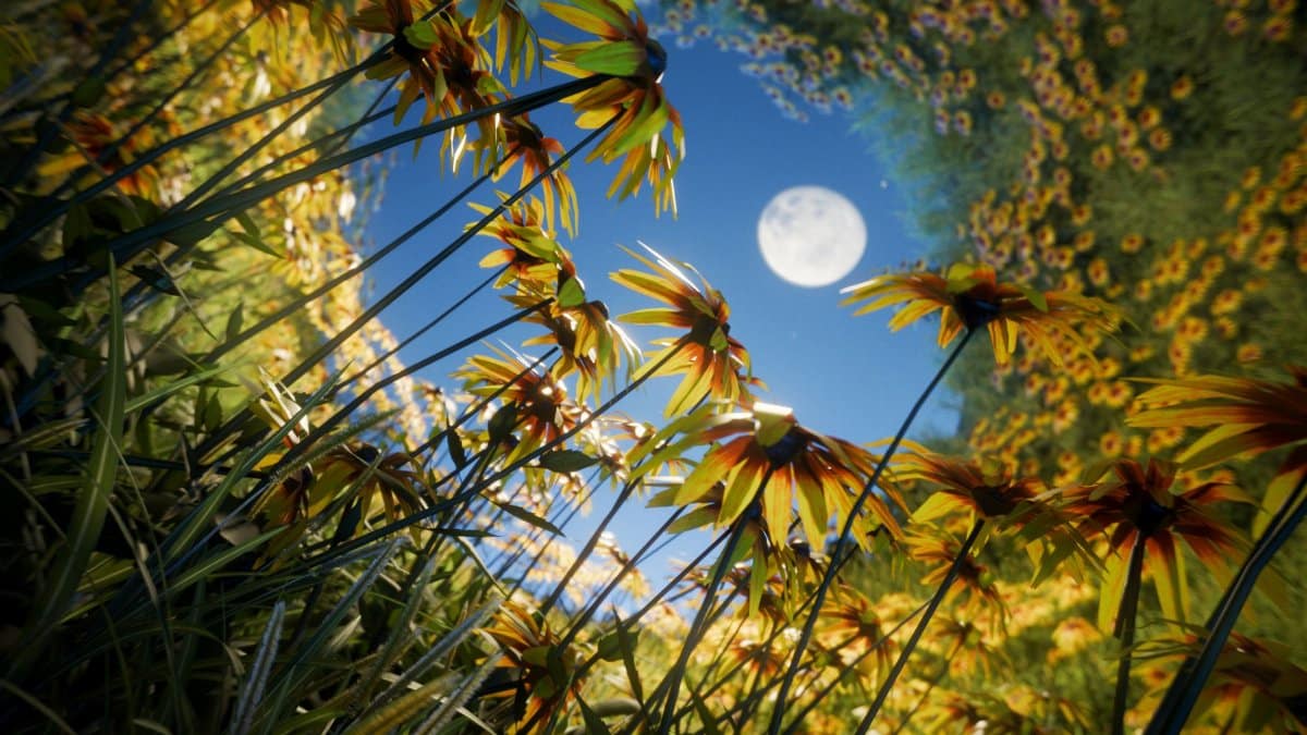 A lush field of yellow flowers under a bright full moon, exuding warmth and vibrance.