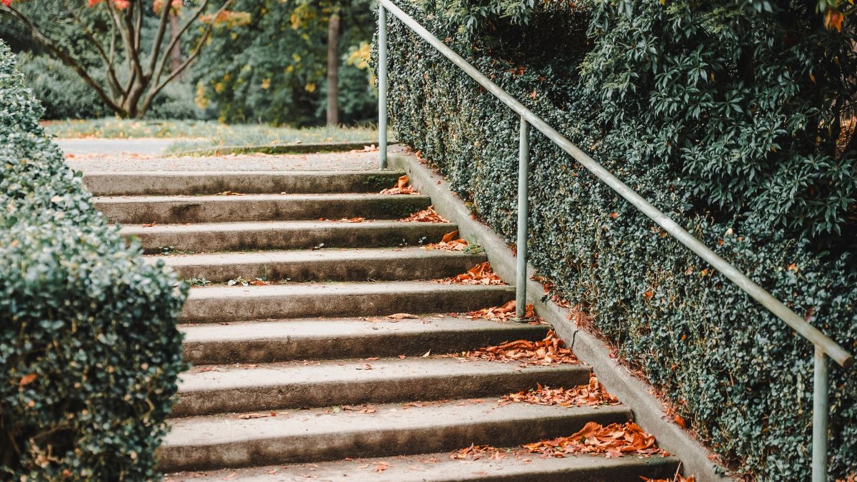 Concrete steps surrounded by lush greenery and fall leaves in a Seattle park.