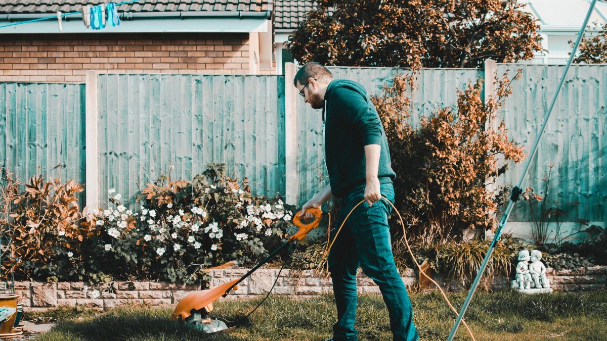 A man using an electric mower in a garden on a sunny day, capturing outdoor chores and gardening vibes.