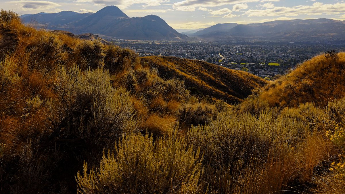 Breathtaking view of mountains and valley during sunset with golden vegetation.