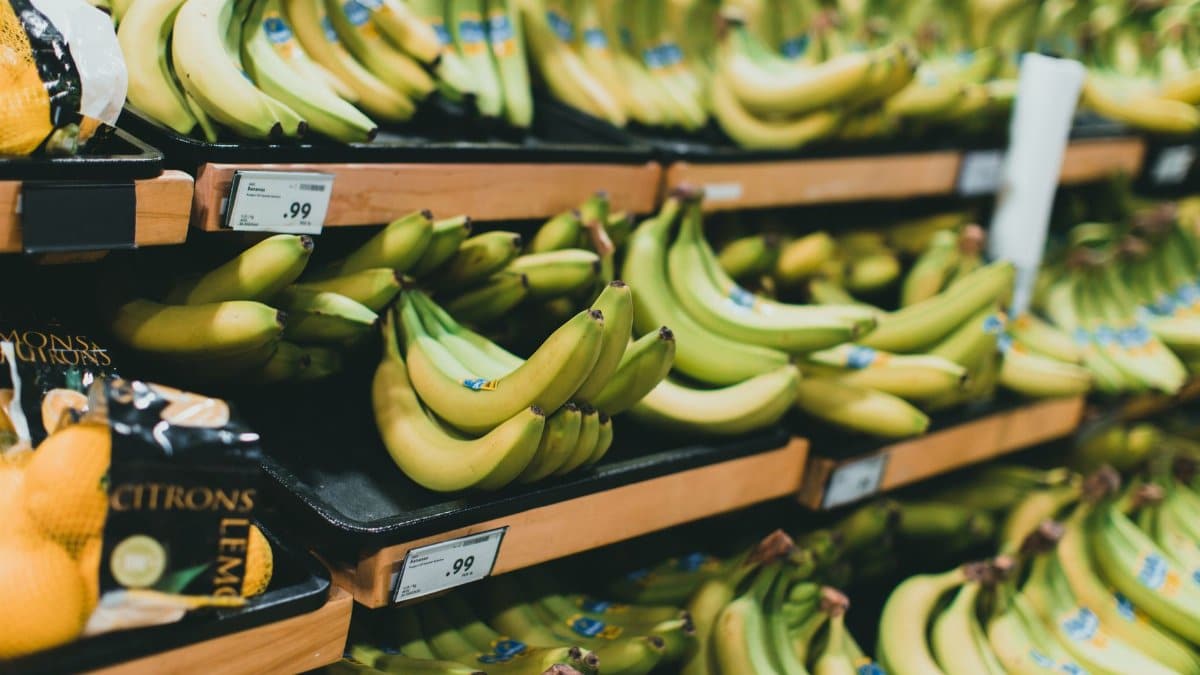 Close-up of fresh bananas stacked on grocery store shelves with price tags visible.