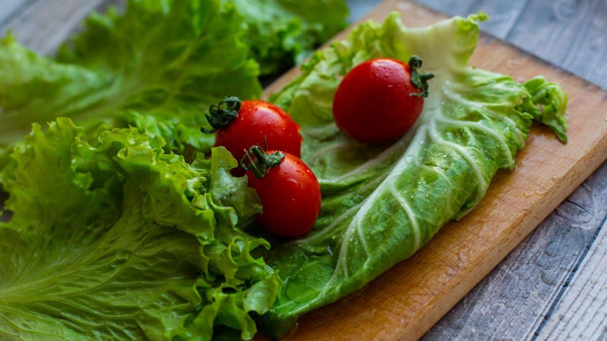 From above of various fresh lettuce leaves and ripe tomatoes placed on wooden chopping board on table in kitchen
