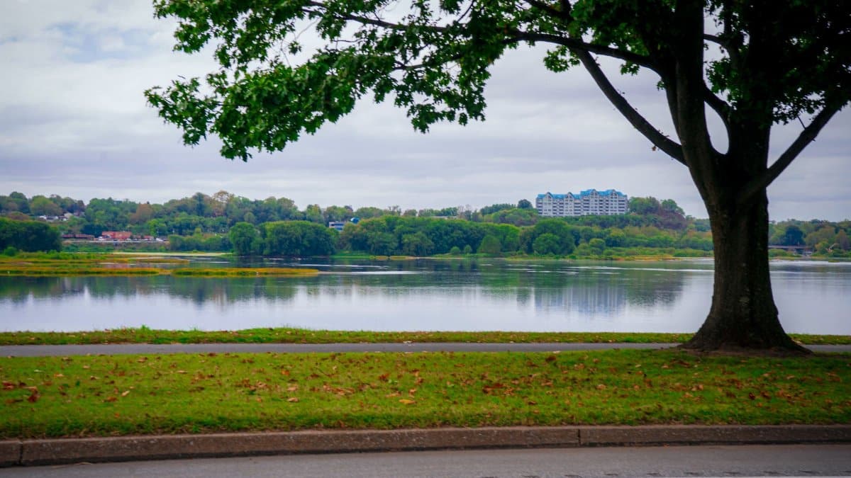 Peaceful fall scene overlooking the Susquehanna River with lush foliage in Harrisburg, PA.