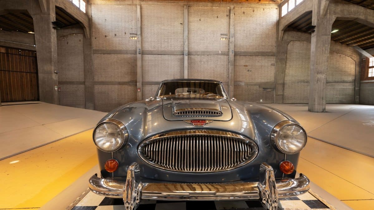 Front view of a vintage Austin-Healey car displayed in a classic industrial warehouse setting.