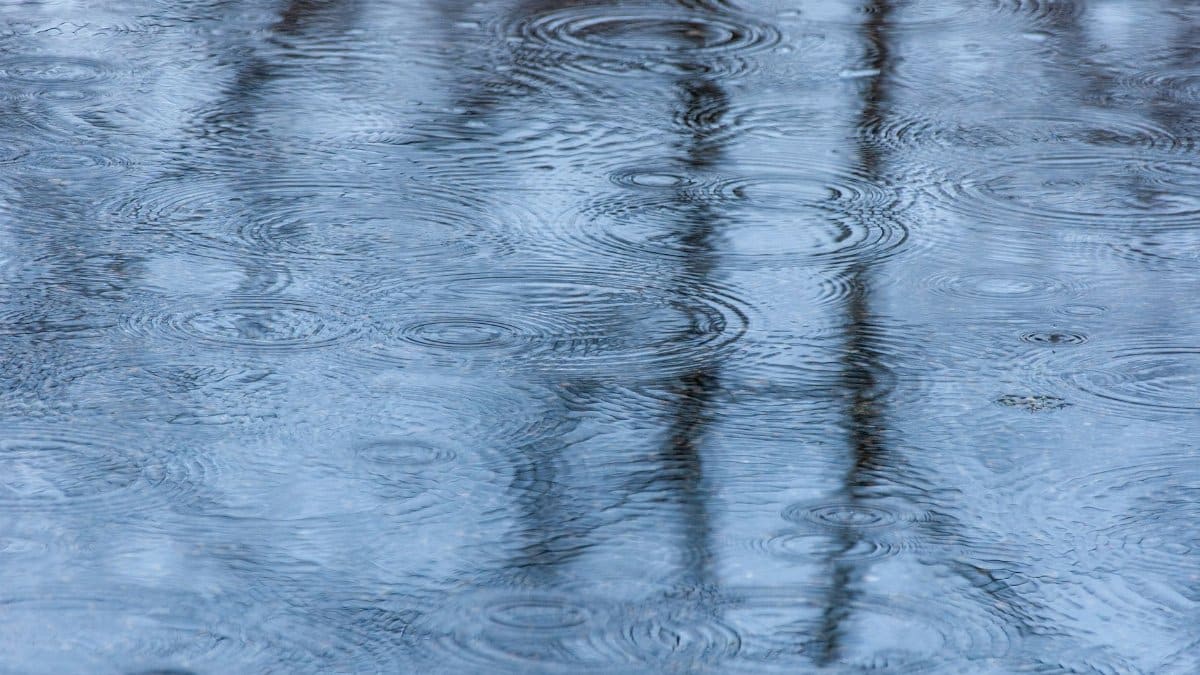 Calm water surface with rain creating rippling effect, capturing a tranquil outdoor scene.
