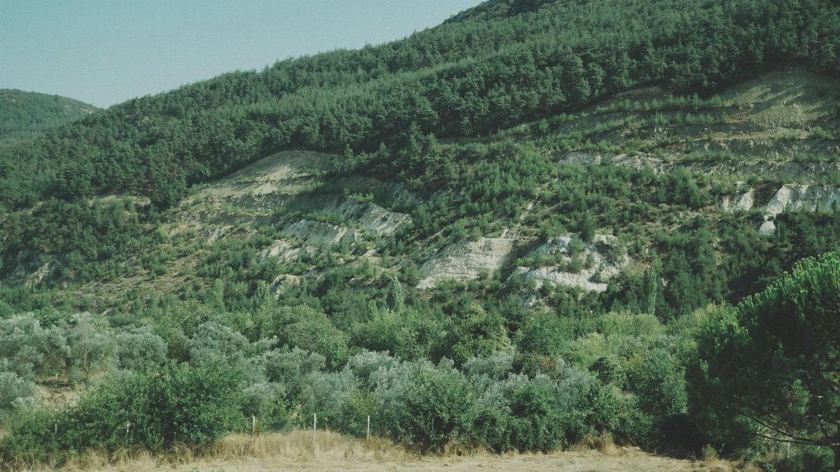 Lush green hills under clear blue sky, showcasing natural beauty.