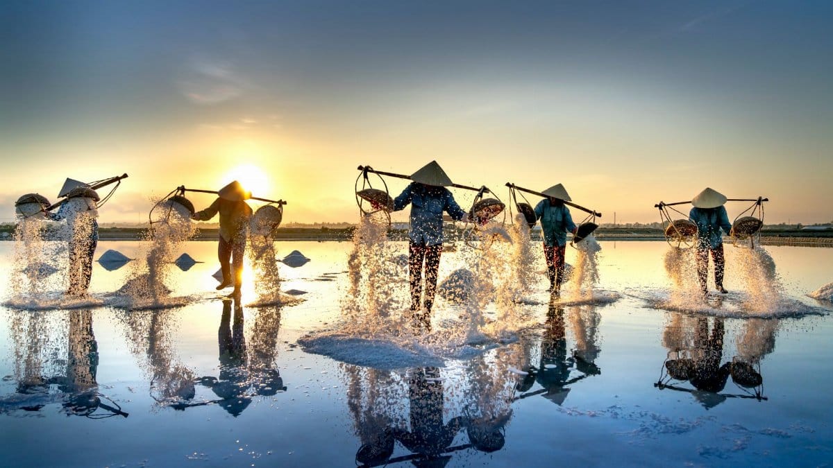 Capture of salt farmers working at dawn in Ninh Hòa, Vietnam, mirroring tranquility and labor.