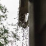 Close-up of rainwater pouring from a gutter, captured during a rainfall in Houston.