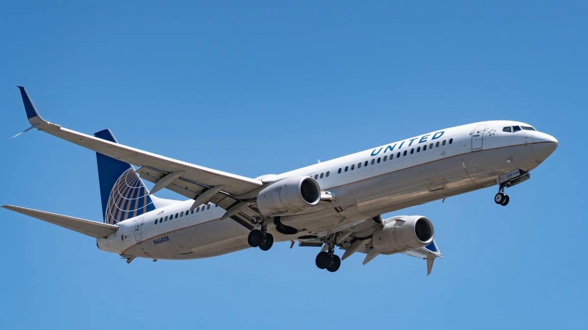 A United Airlines Boeing 737 flying under a clear blue sky, showcasing aviation and travel themes.