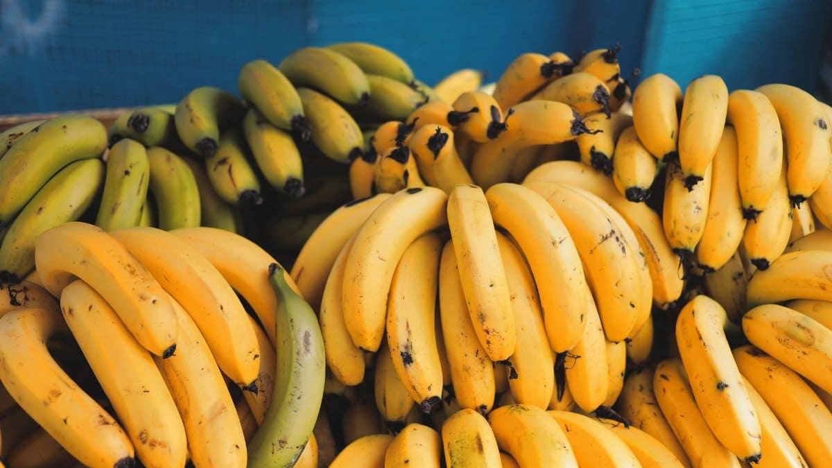 Bunches of ripe and green bananas on display at a market stand.